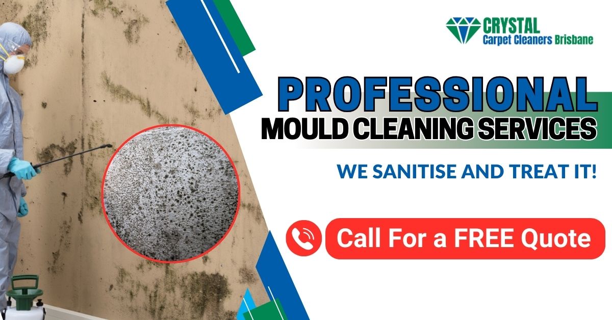 Crystal Carpet Cleaners Brisbane Mould Cleaning Services - Servicing Chermside Oxley, Sunnybank, Pine Rivers, Moggill, Apsley, Nanango, Enoggera, Alderley