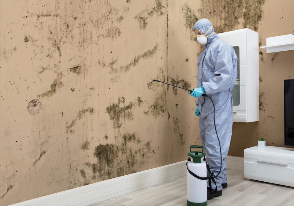 Professional Cleaner in Brisbane home removing mould
