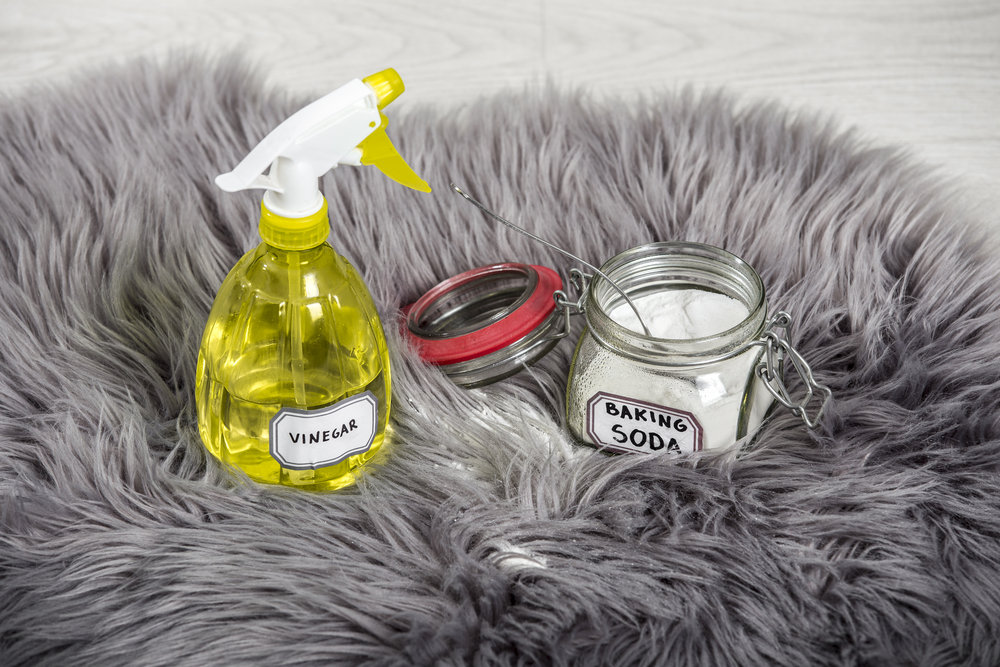 vinegar and baking soda solution for removing pet odours