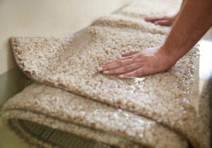 how to get water out of carpet in Queensland